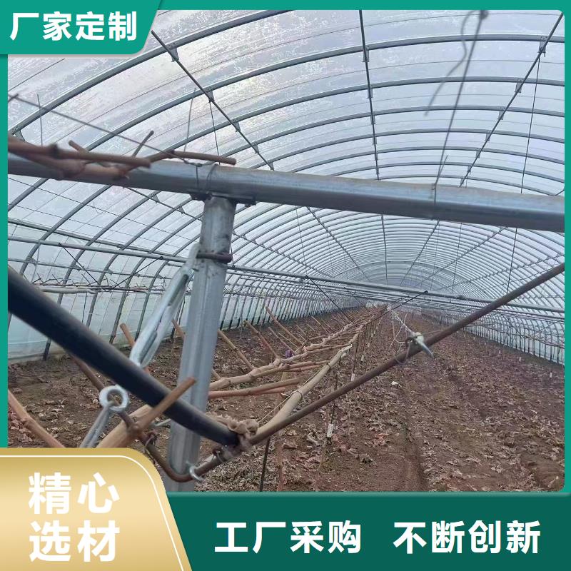【温室大棚】_大棚钢管实体诚信经营