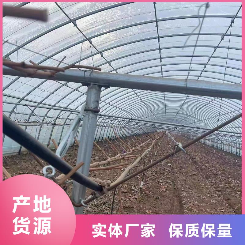 【温室大棚】光伏支架经久耐用