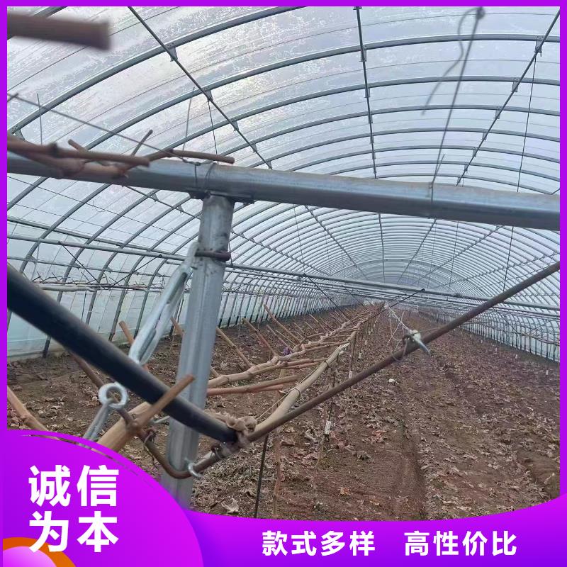 温室大棚-热镀锌光伏支架好产品不怕比