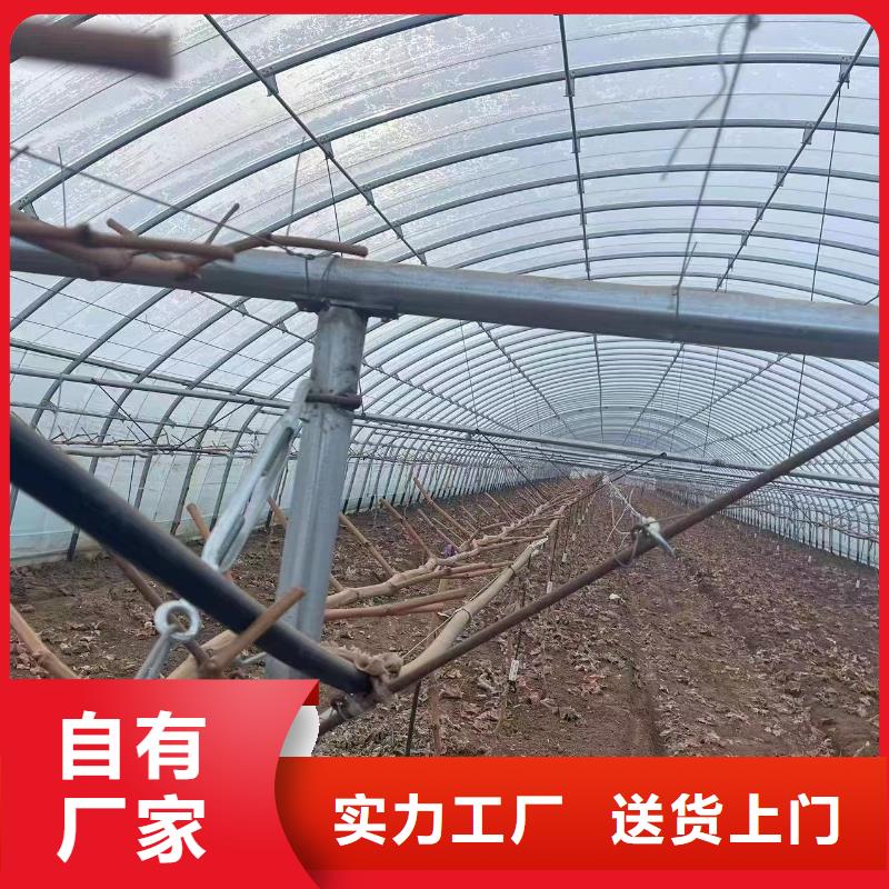 温室大棚热镀锌光伏支架型号全价格低