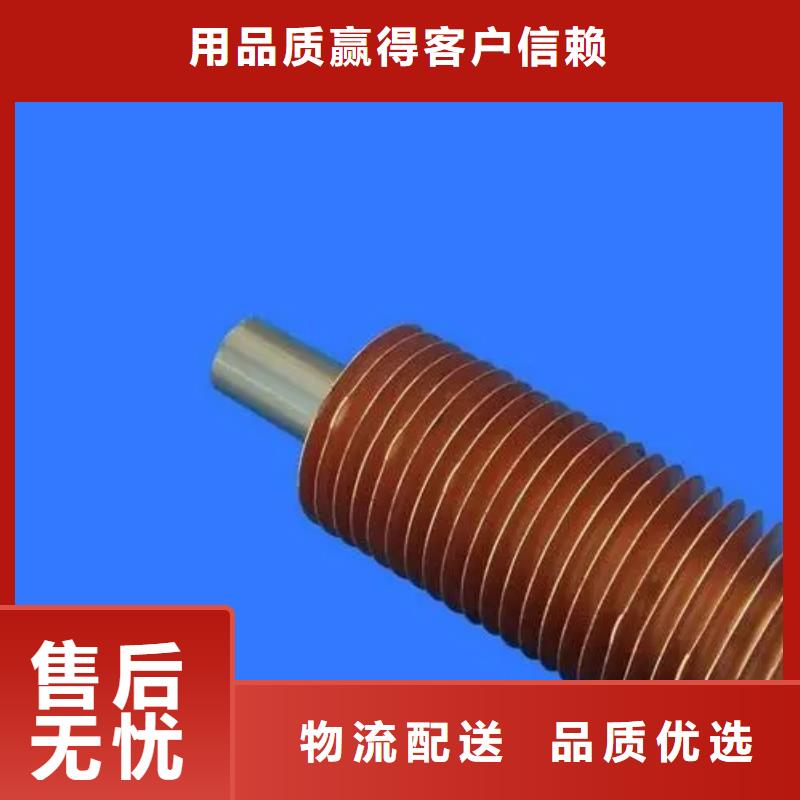 L型全铜翅片管实体大厂