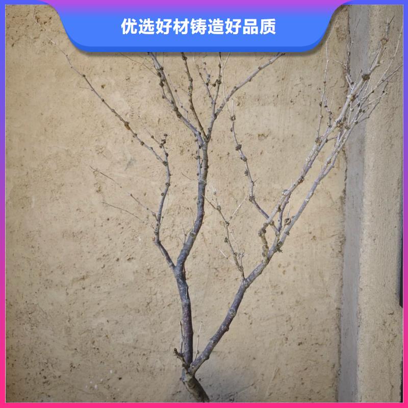 仿泥巴涂料人工价格