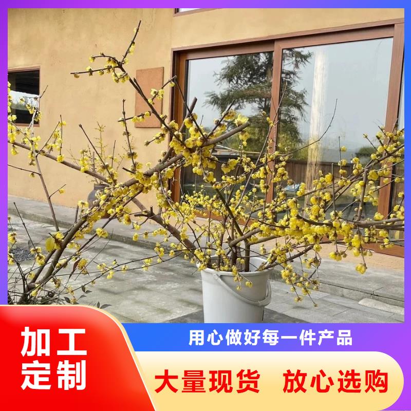 仿泥巴墙稻草漆源头工厂，厂家批发