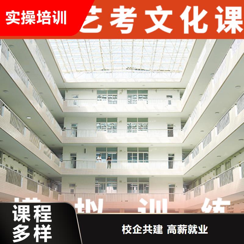 艺考生文化课补习机构哪家学校好