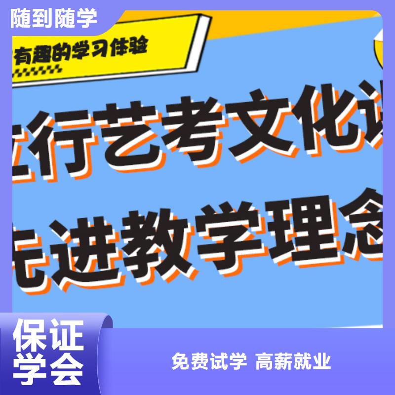 艺考生文化课-【艺考辅导】理论+实操