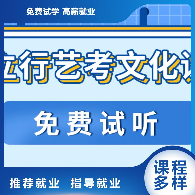 艺考生文化课美术艺考正规学校