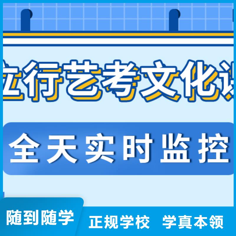 艺考生文化课-【艺考辅导】理论+实操
