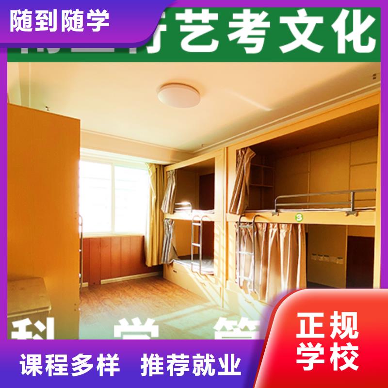 艺考生文化课美术艺考保证学会