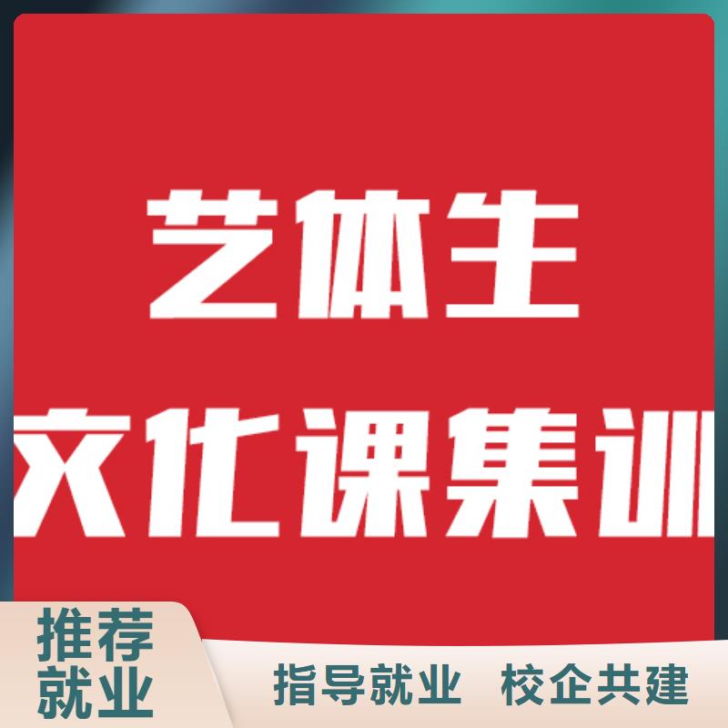艺考生文化课冲刺
哪个好？