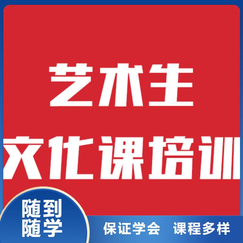 艺考生文化课美术艺考正规学校