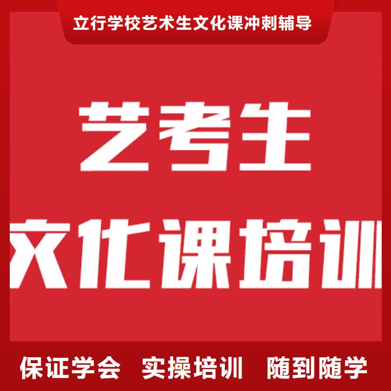 艺考生文化课美术艺考正规学校