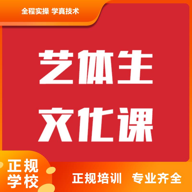 艺考生文化课-【艺考辅导】理论+实操