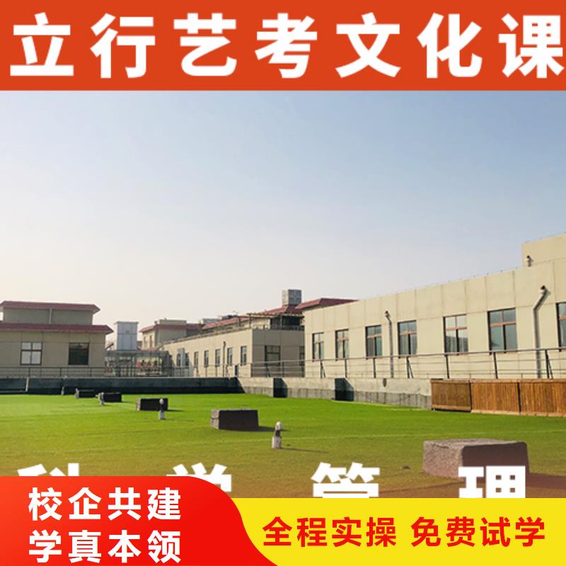 艺考生文化课冲刺
哪个好？