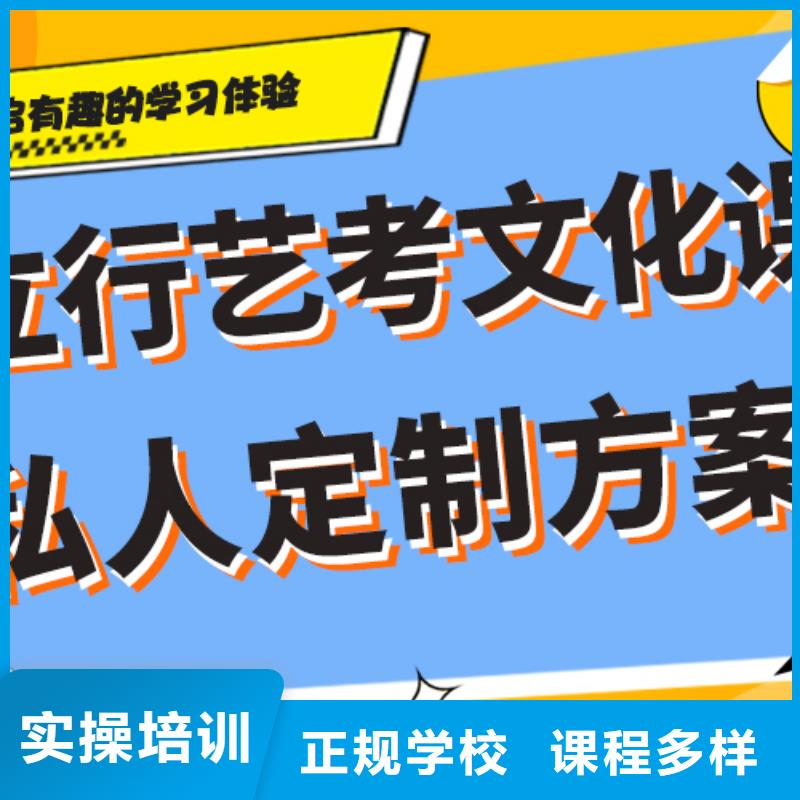 【艺考文化课补习高考冲刺补习老师专业】