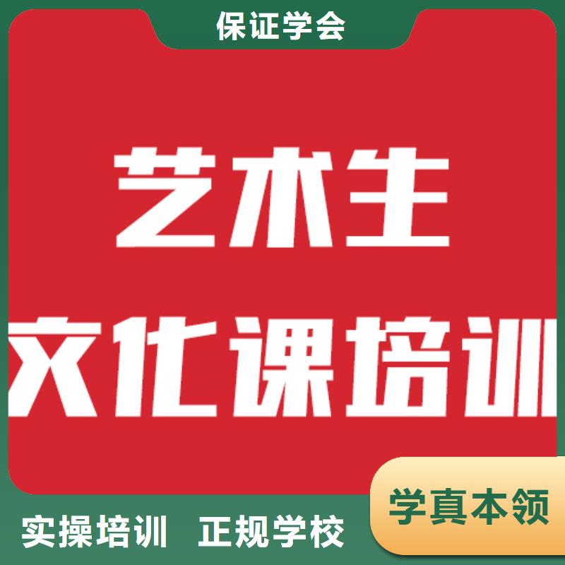艺考文化课艺考辅导理论+实操