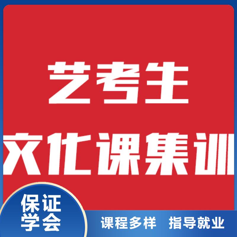 艺考文化课舞蹈艺考培训随到随学