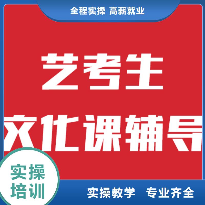 艺考文化课高考语文辅导学真技术