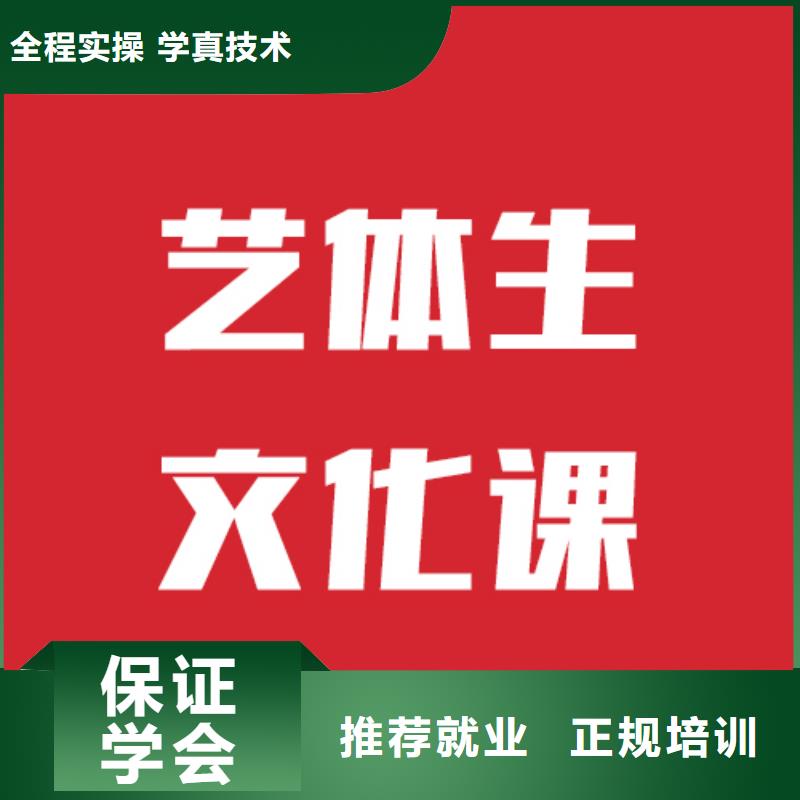 艺考文化课高考志愿一对一指导学真本领