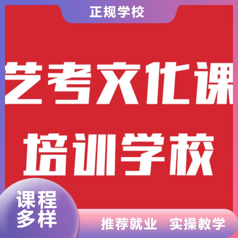 艺考文化课舞蹈艺考培训随到随学