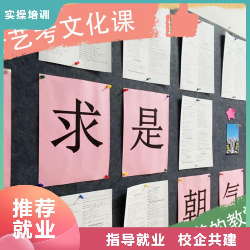 艺考文化课培训艺考文化课冲刺理论+实操