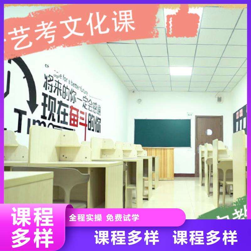 艺考文化课培训高考冲刺班学真技术
