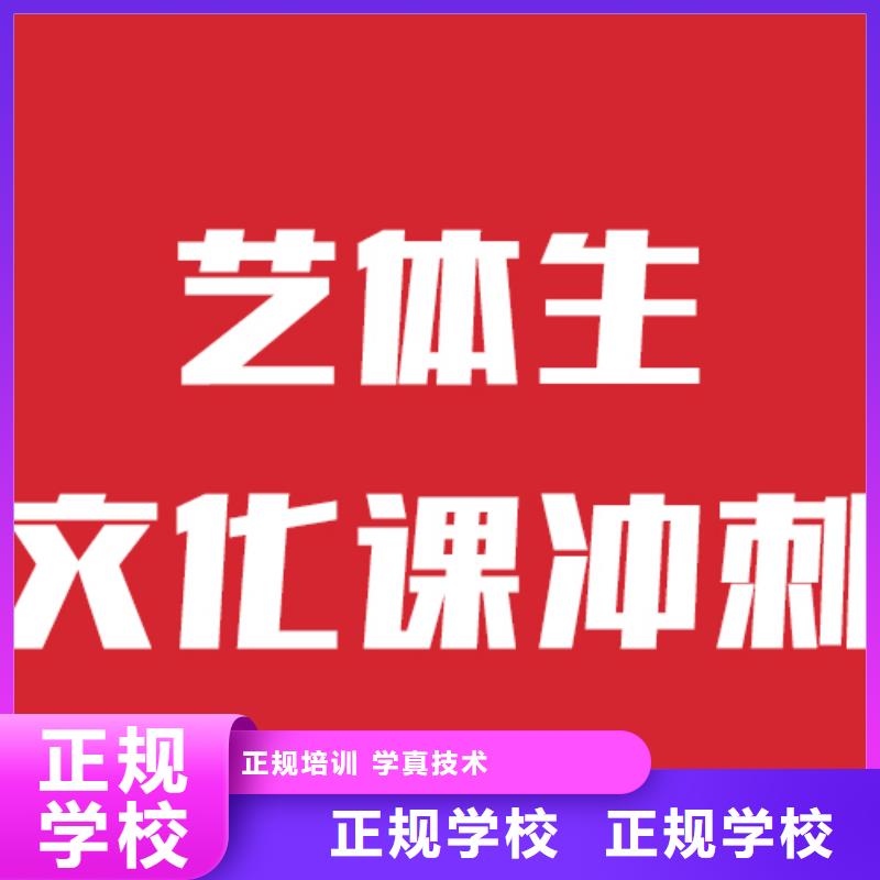 艺考生文化课高三冲刺班指导就业