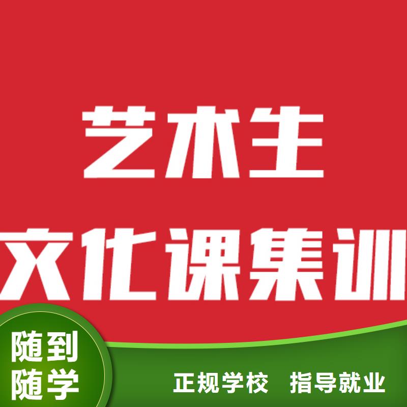 艺考生文化课高三冲刺班指导就业