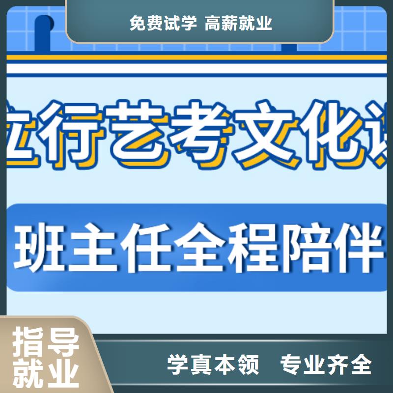 艺考文化课,高考书法培训老师专业
