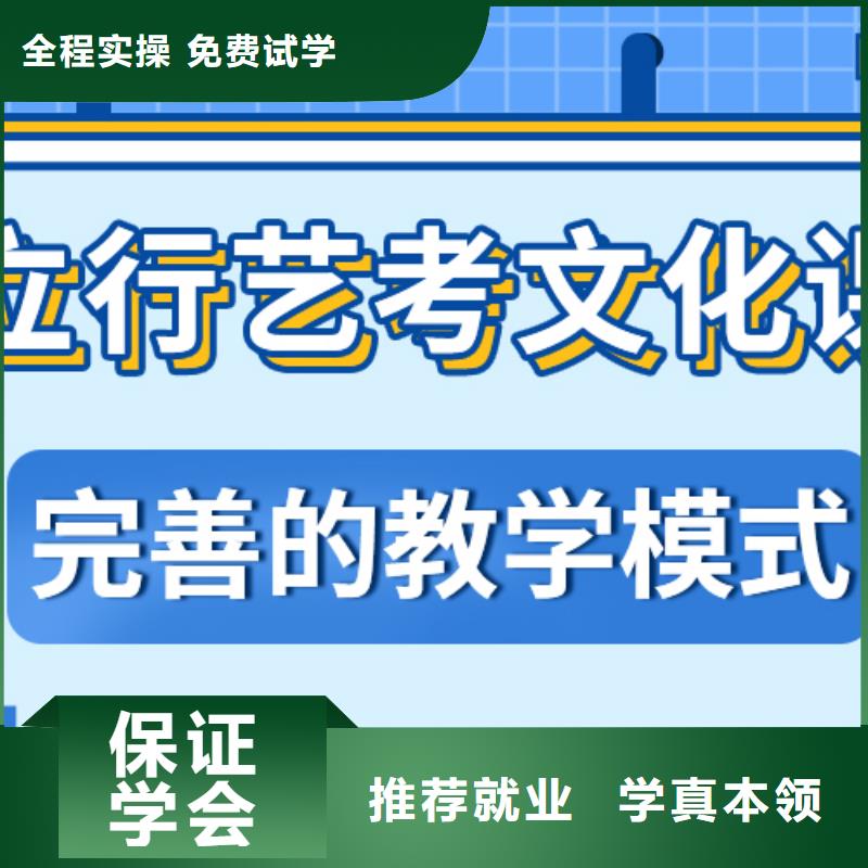 艺考文化课高考补习学校学真本领