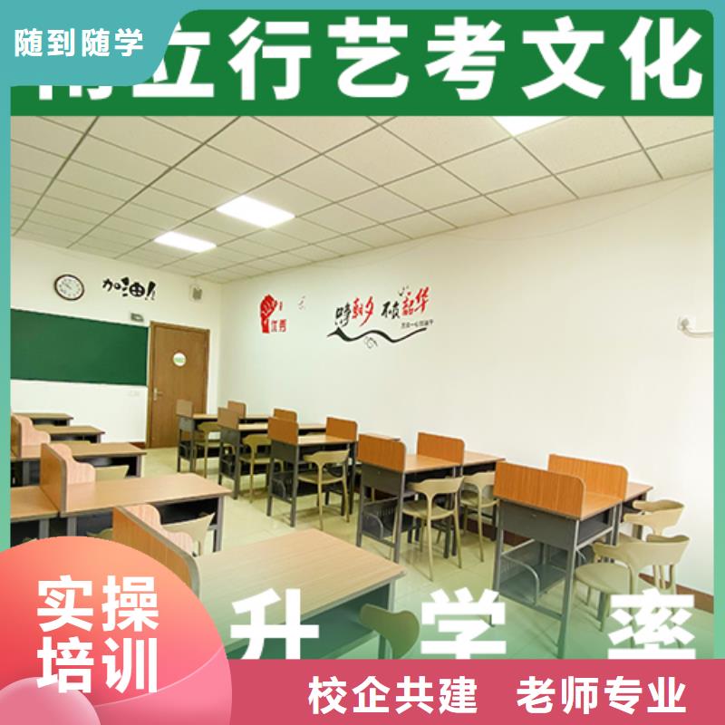 艺考文化课,高考书法培训老师专业