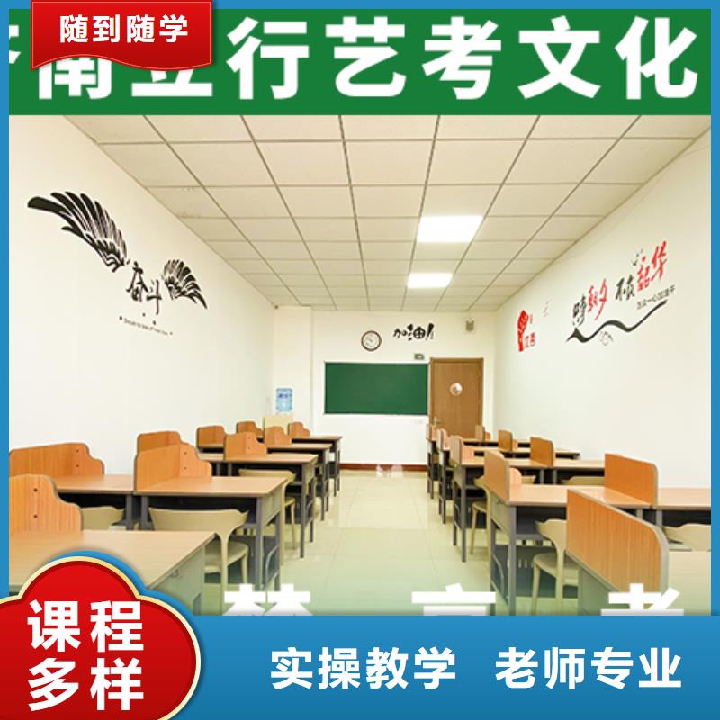 艺考生文化课-艺考一对一教学手把手教学