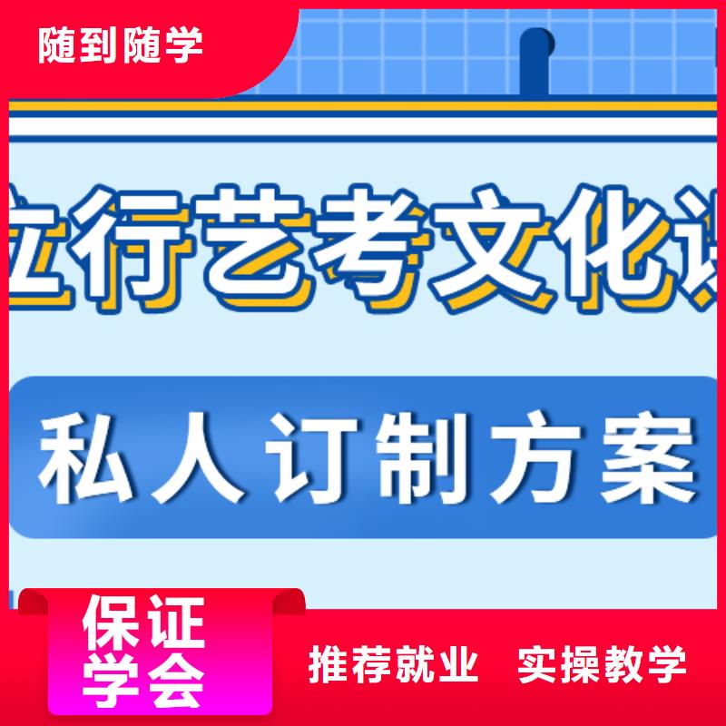 艺考生文化课-高考小班教学实操教学