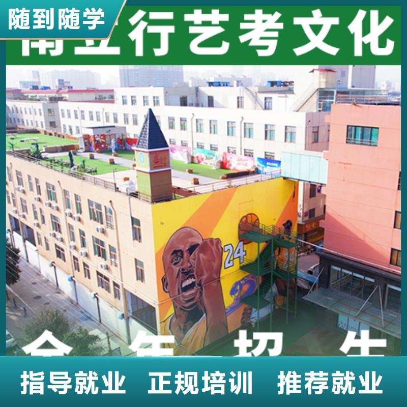 美术生文化课排行