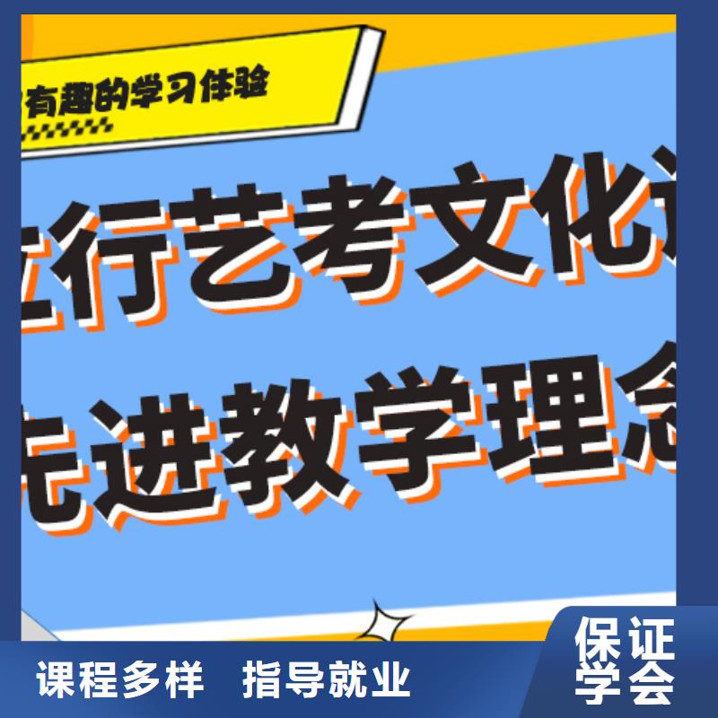 艺考文化课高三集训老师专业