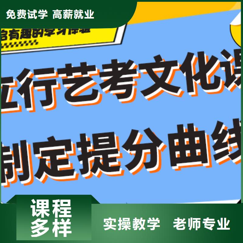 艺考文化课,高考复读白天班指导就业