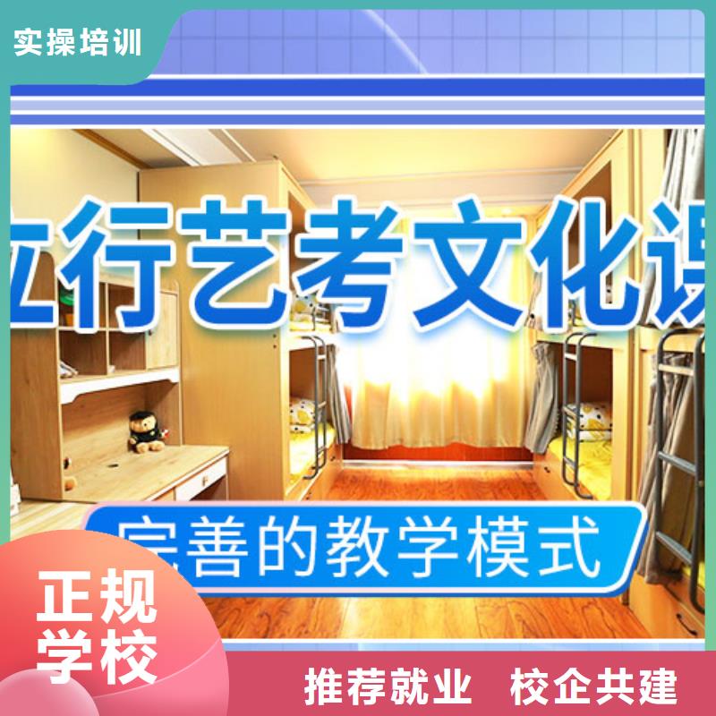 艺考文化课高考全日制全程实操