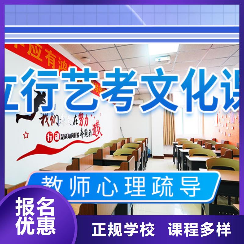 艺考生文化课冲刺艺考文化课冲刺老师专业