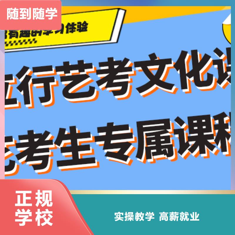 艺考生文化课冲刺艺考复读清北班正规学校