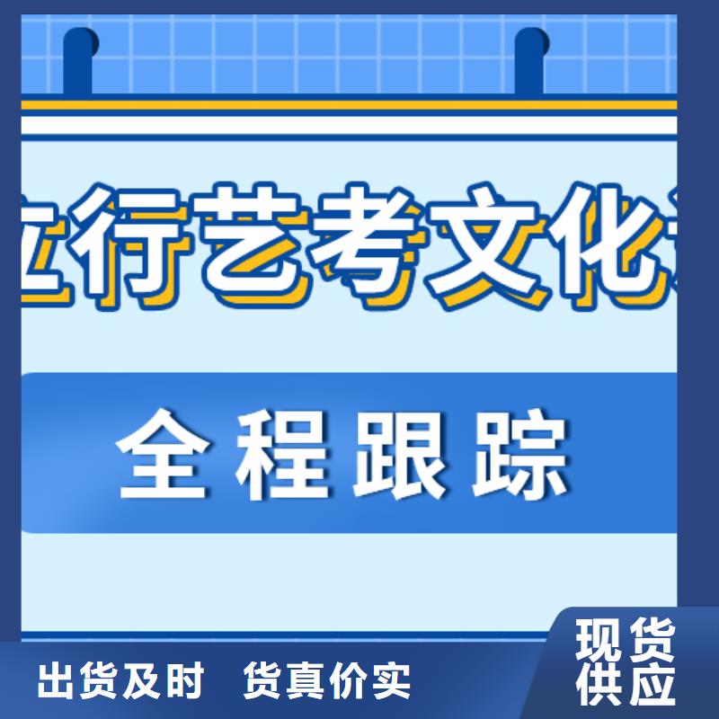 济南艺考文化课-艺术专业日常训练老师专业