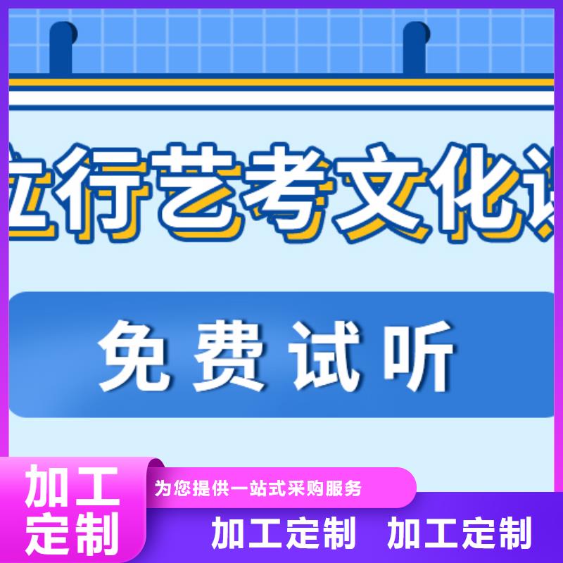 济南艺考文化课-艺术专业日常训练老师专业
