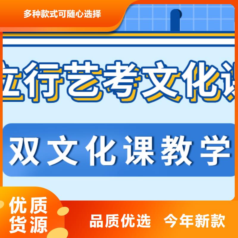 济南艺考文化课-艺术专业日常训练老师专业