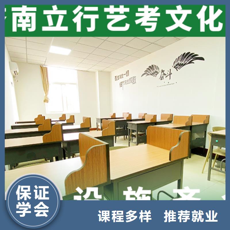 艺考文化课学校,艺术生文化补习手把手教学