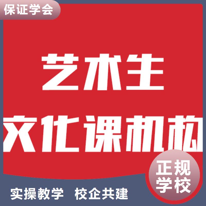 艺考文化课学校,艺术生文化补习手把手教学