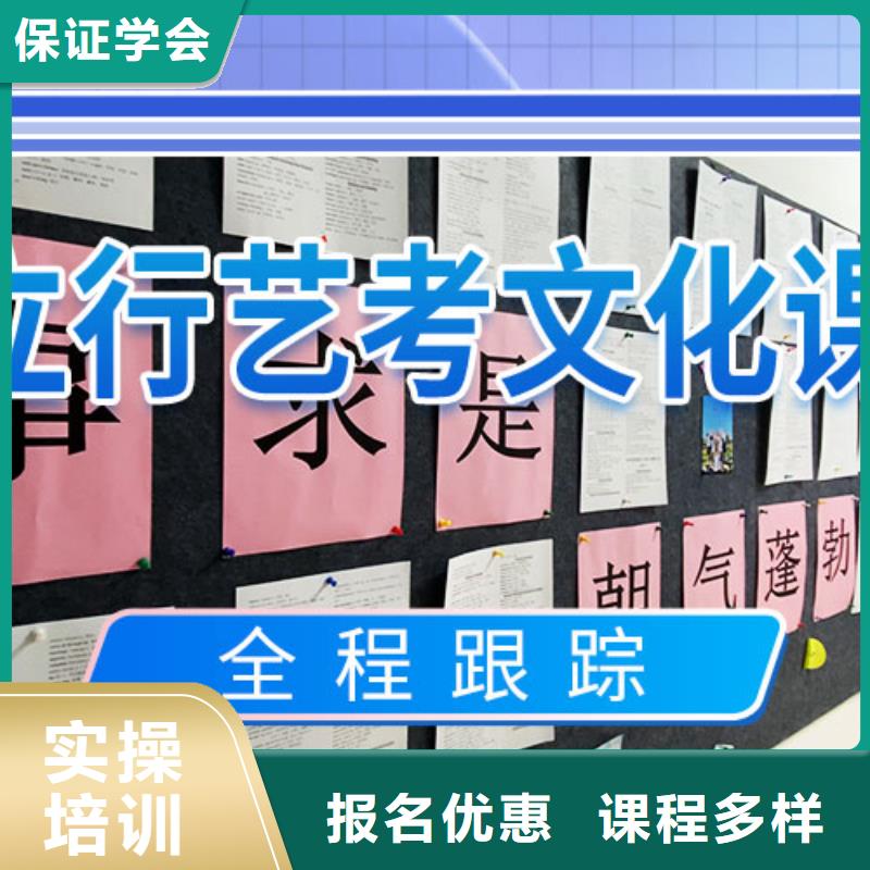 艺考文化课补习【舞蹈艺考培训】正规培训