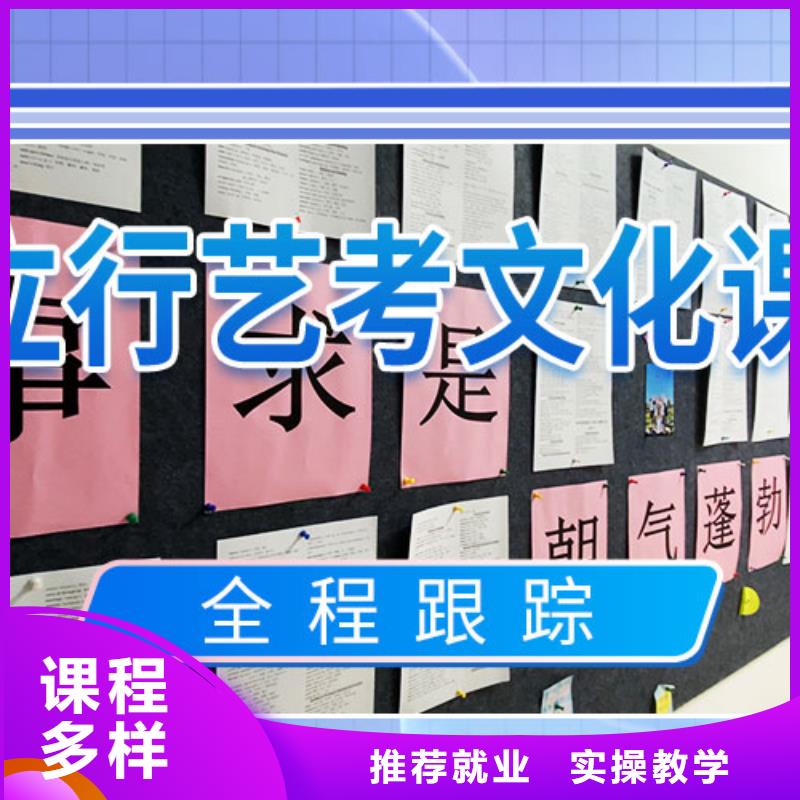 艺考文化课补习_艺考学真技术