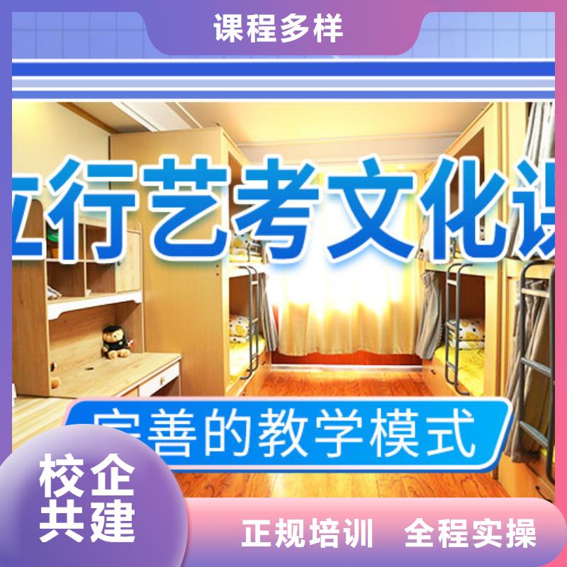 艺考文化课冲刺_高考志愿一对一指导免费试学