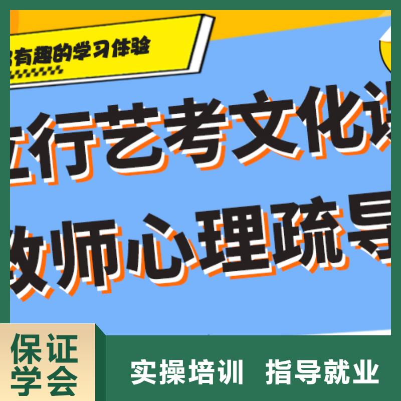 艺考文化课培训艺考一对一教学老师专业