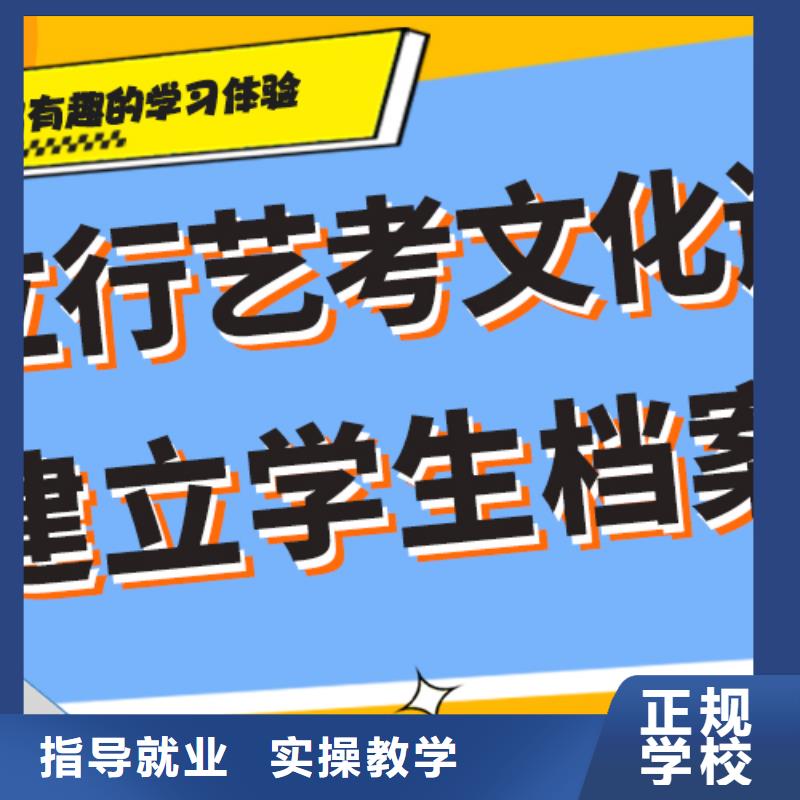 艺考文化课培训艺考一对一教学老师专业