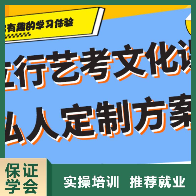 艺术生文化课培训补习价格定制专属课程