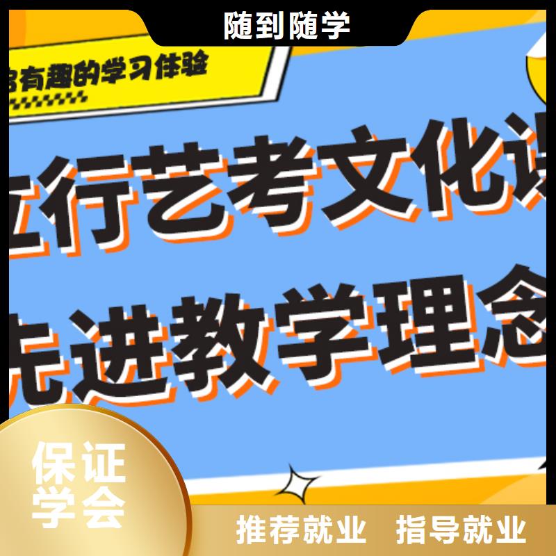 艺术生文化课培训机构艺考文化课百日冲刺班老师专业